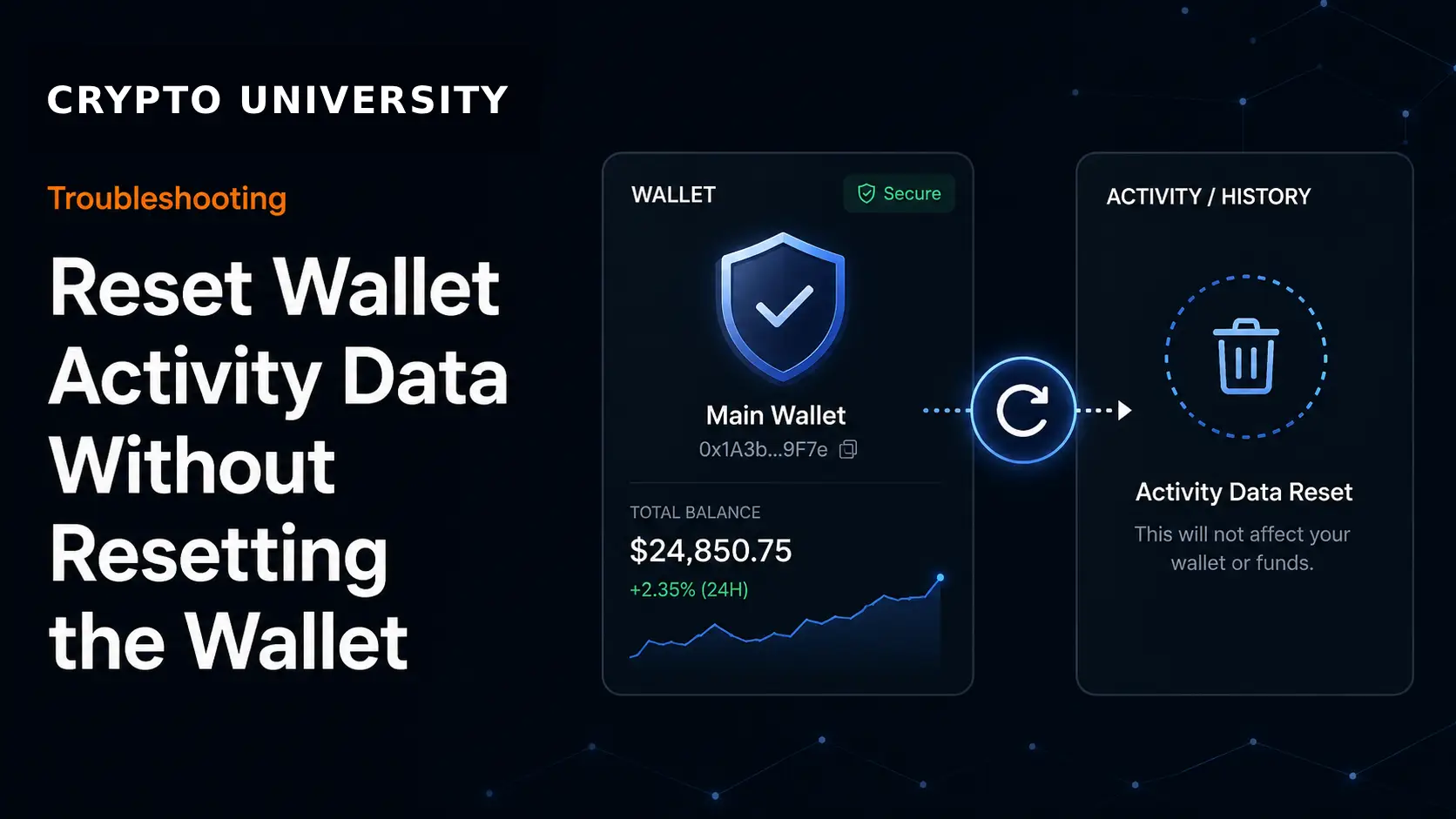How to Reset Wallet Activity Data Without Resetting the Wallet