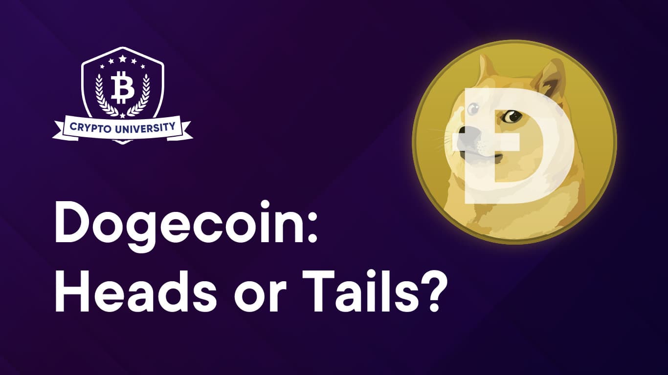 Dogecoin: Heads or Tails?