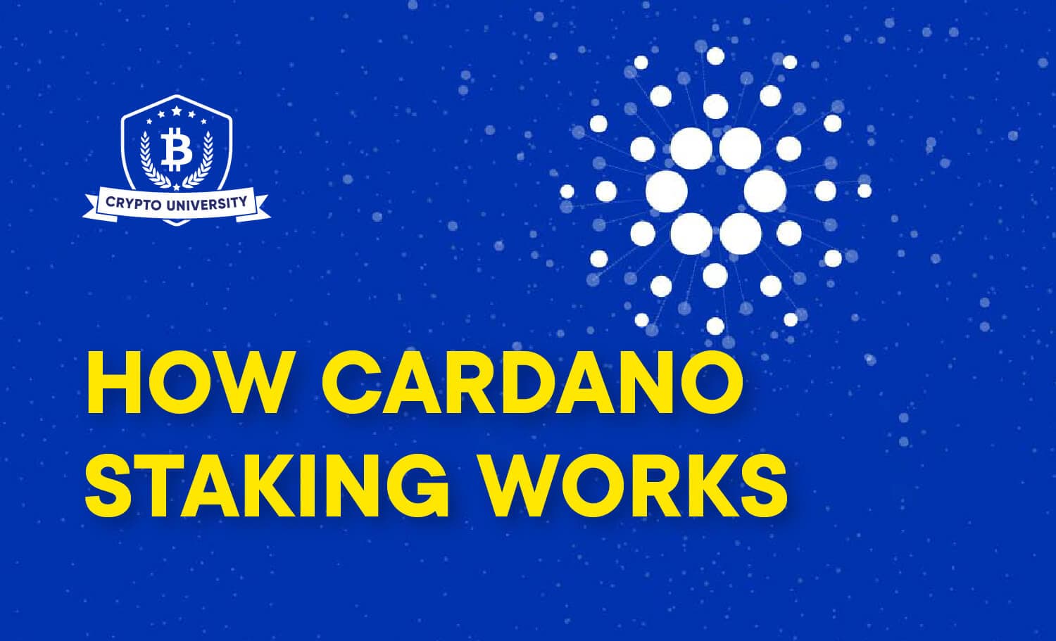 HOW CARDANO STAKING WORKS