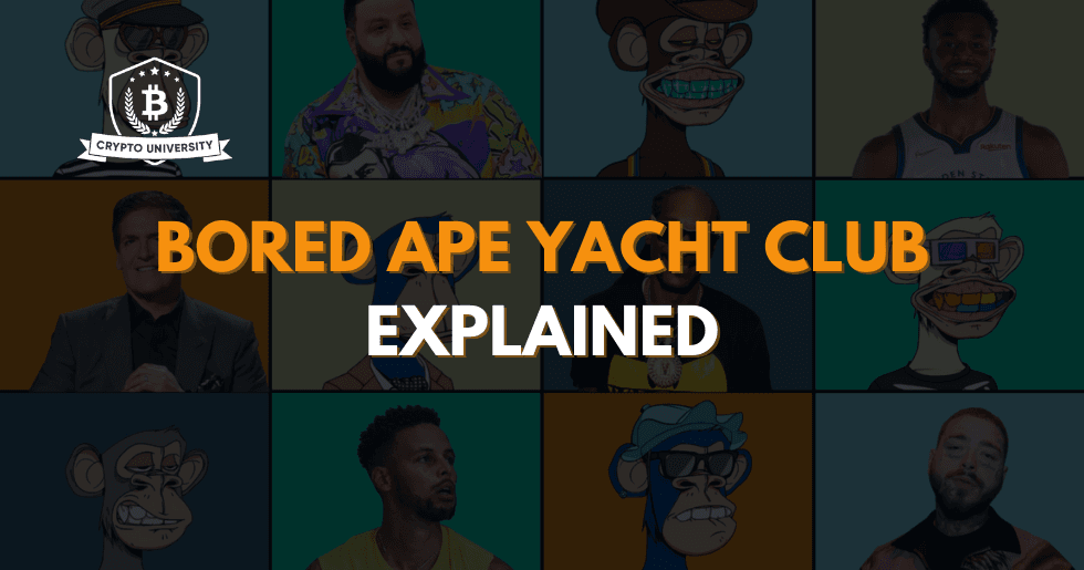 Bored Apes Yacht Club Explained