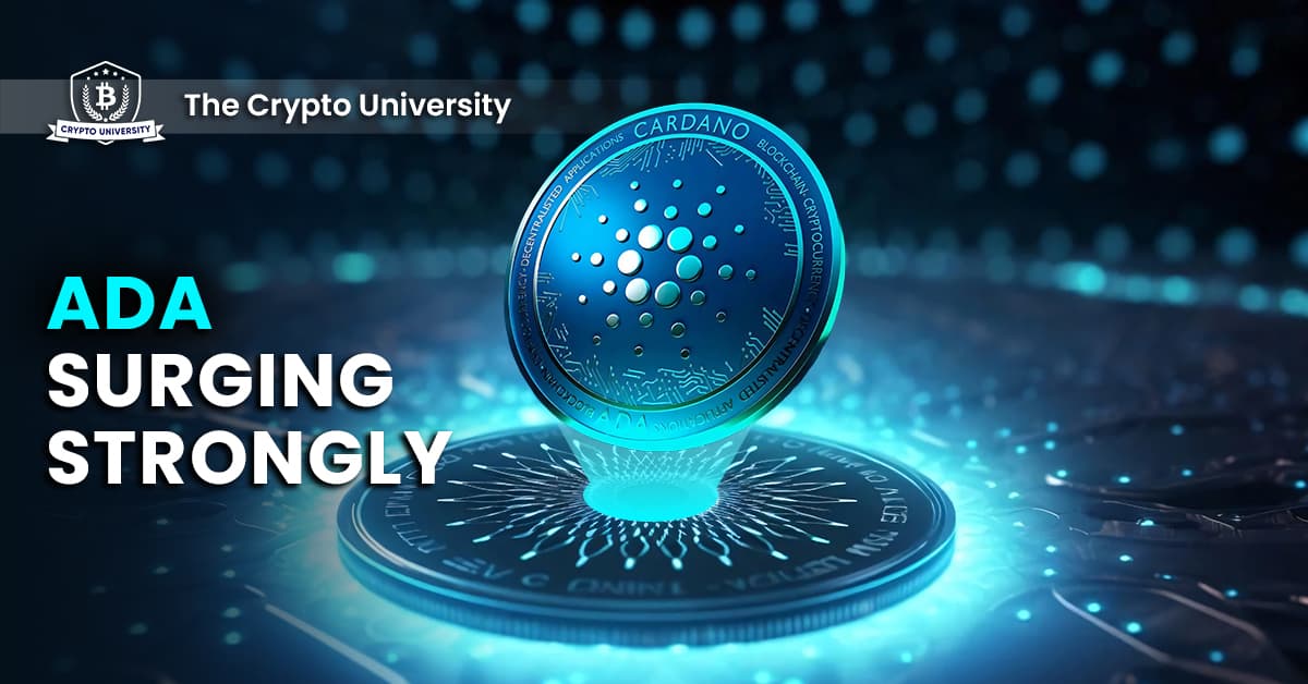 Cardano Rides the Bitcoin ETF Wave: A Surge with Challenges Ahead