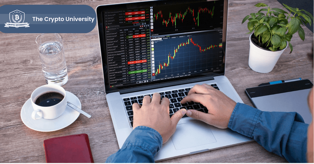 CRYPTO TRADING: the right way to financial freedom.