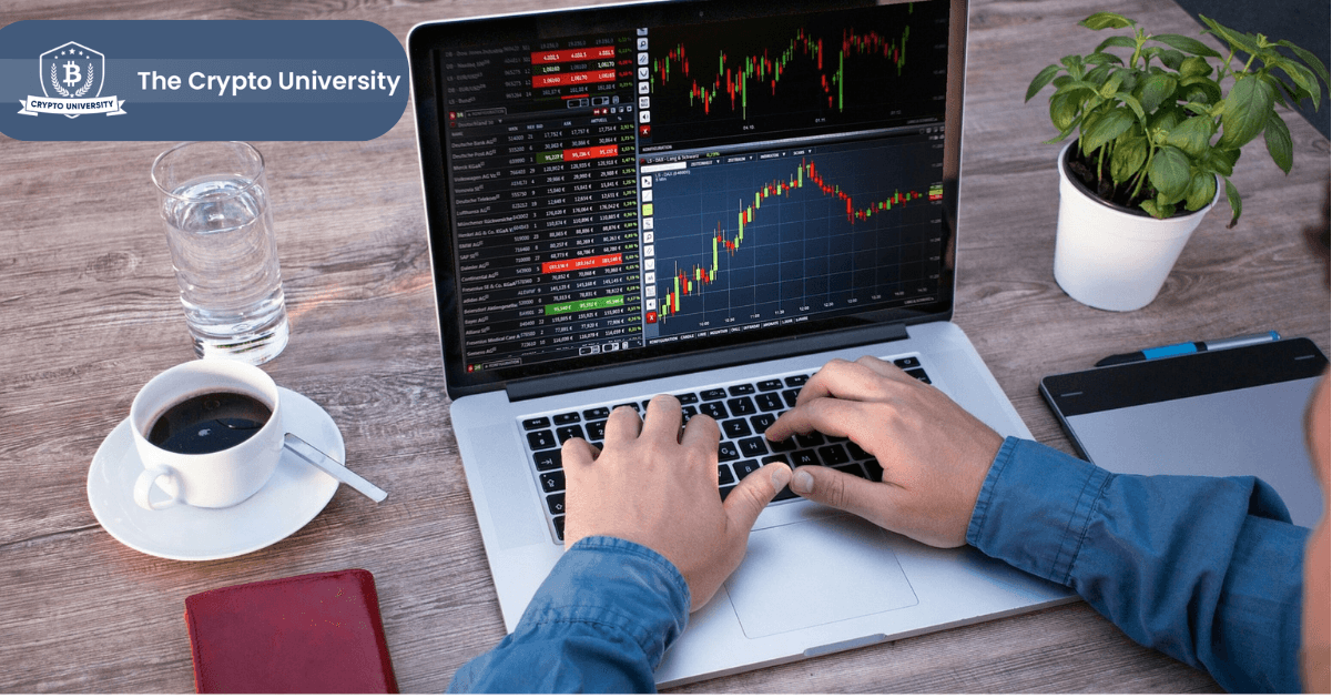 CRYPTO TRADING: the right way to financial freedom.