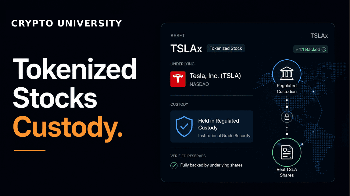 Where Are the Real Shares Behind Tokenized Stocks Held?