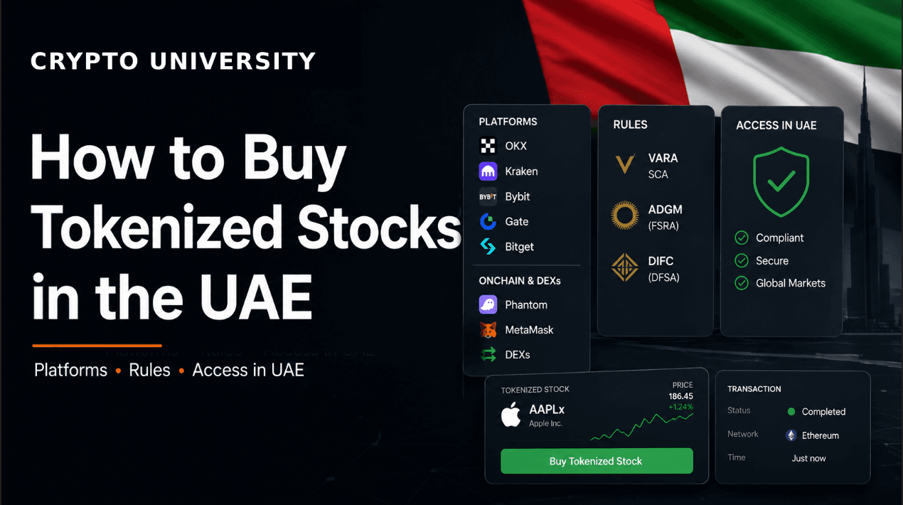 How to Buy Tokenized Stocks in the UAE: Dubai Platforms, Rules and Access