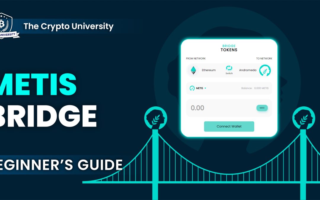 How to Use Metis Bridge: A Simple Beginners Guide